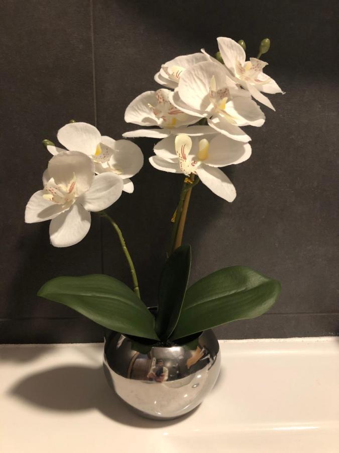 Apartament Chopina Łomianki Dış mekan fotoğraf